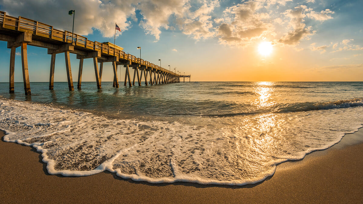 A split image of snow covered trees and palm trees