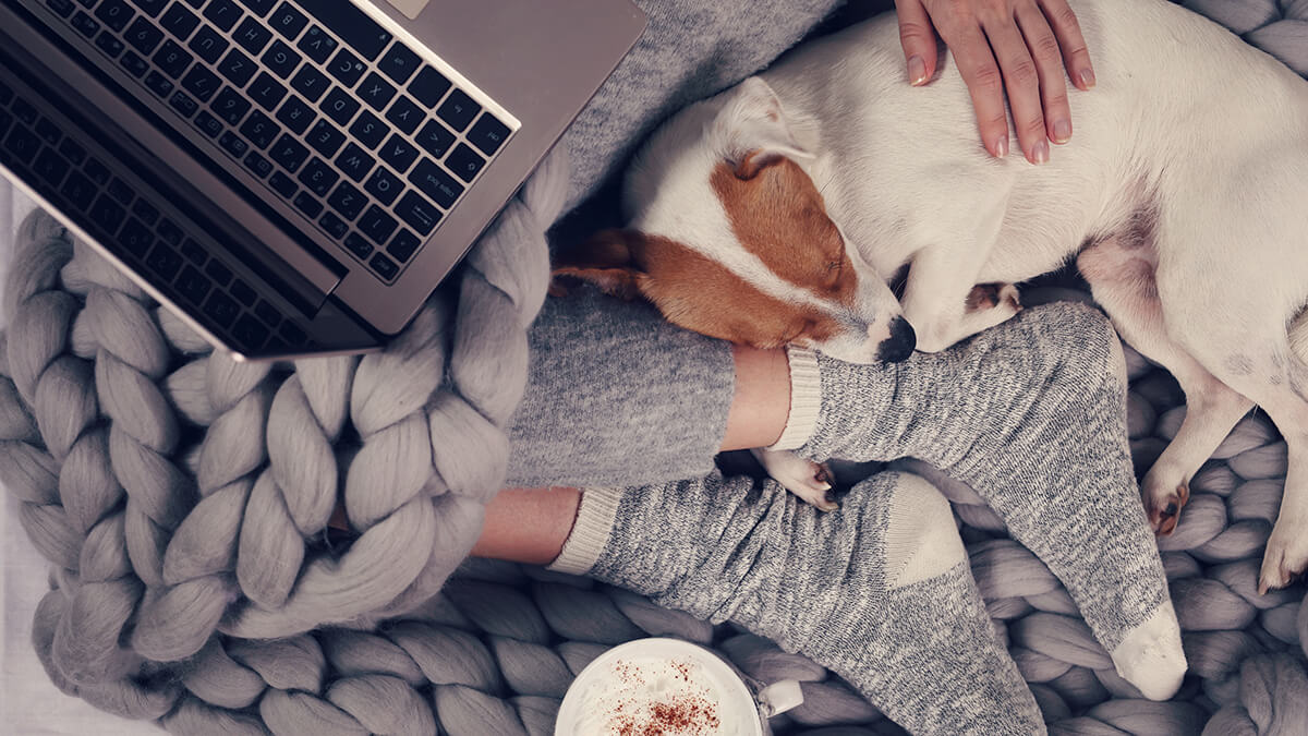 A mug of hot chocolate next to comfy socks and blanket.